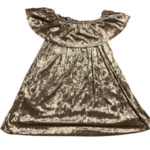 The Pants Store Velvet Off-Shoulder Dress‎